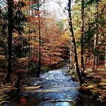 Кемпинг Eco *